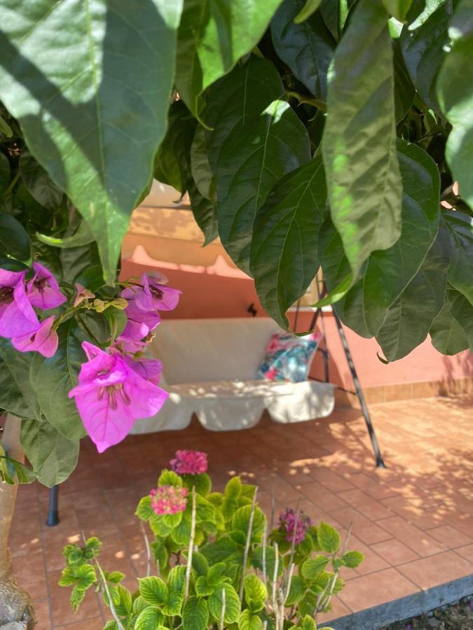 B&B Santa Lucia Silvi Paese Bagian luar foto