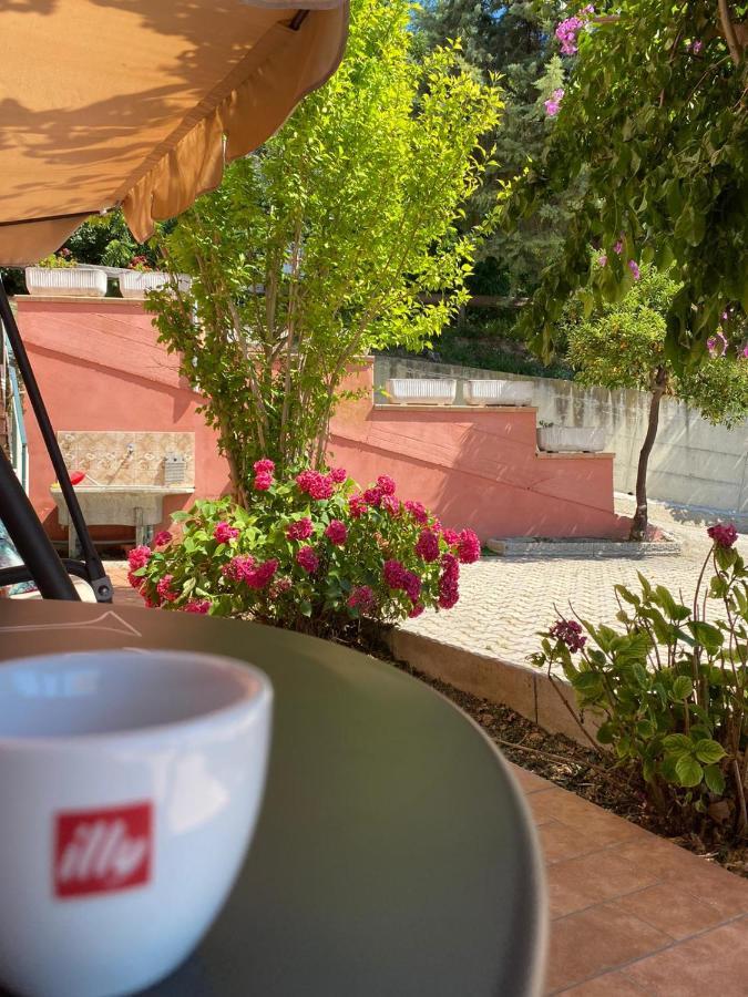 B&B Santa Lucia Silvi Paese Bagian luar foto