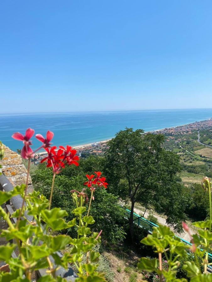 B&B Santa Lucia Silvi Paese Bagian luar foto
